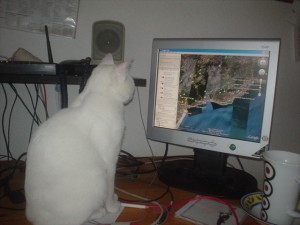 Albor showing how clever he is