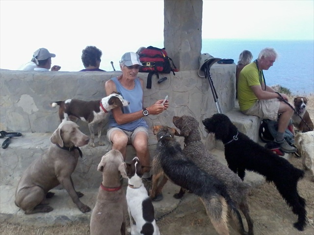 All the dogs waiting for their treat